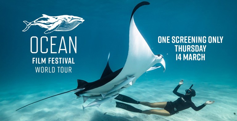 oceans_film_festival_red_hot_arts