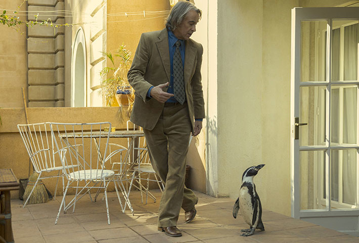 the_penguin_lessons
