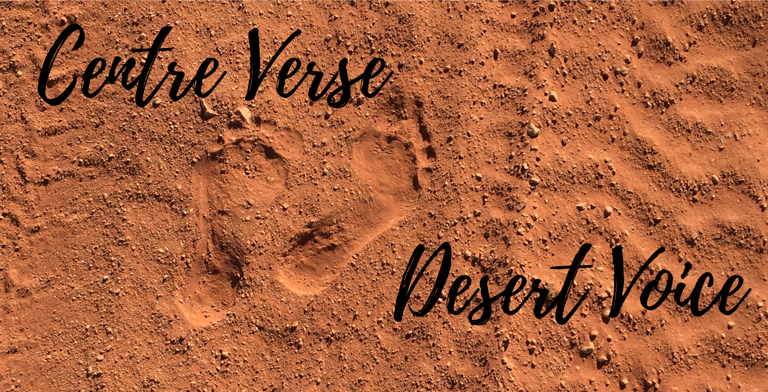 cvdv_header_1920_x_980