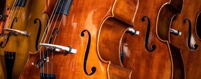 landscape_of_basses (1)