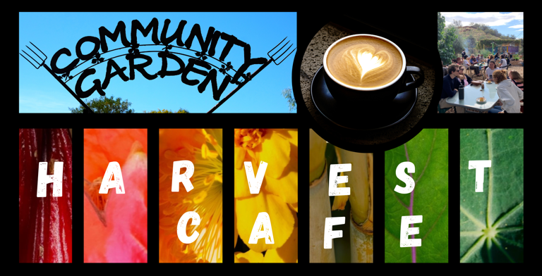 facebook_event_cover_harvest_cafe__1920_x_1005_px___1920_x_980_px__20240916_141122_0000 (2)